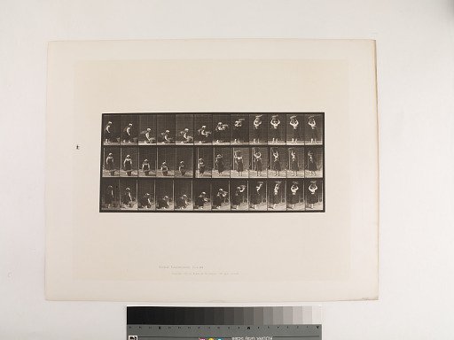Animal Locomotion. Plate 230.