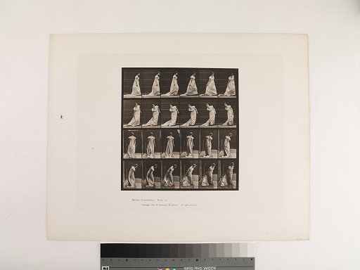 Animal Locomotion. Plate 231.