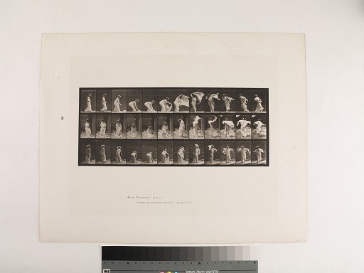 Animal Locomotion. Plate 233.