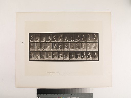 Animal Locomotion. Plate 234.