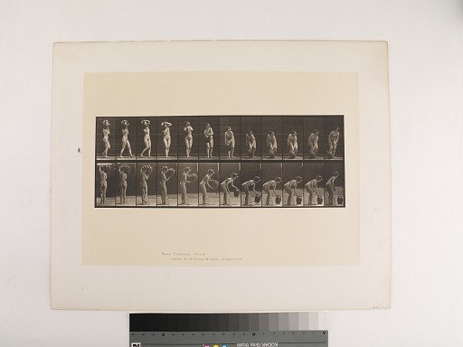 Animal Locomotion. Plate 235.