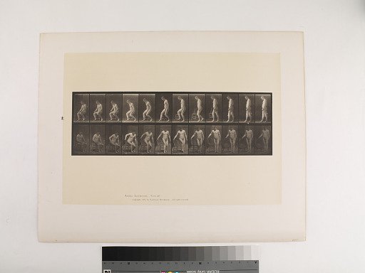 Animal Locomotion. Plate 236.