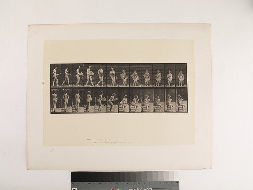 Animal Locomotion. Plate 237.