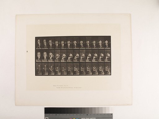 Animal Locomotion. Plate 238.