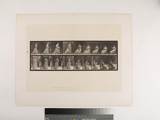 Animal Locomotion. Plate 240.