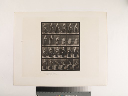Animal Locomotion. Plate 241.