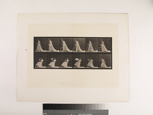 Animal Locomotion. Plate 242.
