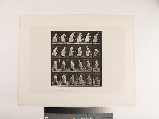 Animal Locomotion. Plate 243.