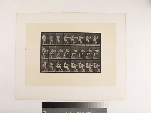 Animal Locomotion. Plate 244.