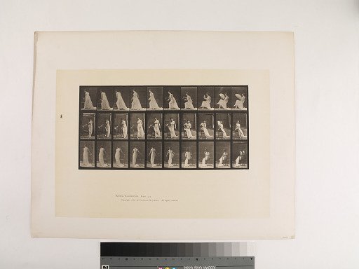 Animal Locomotion. Plate 246.