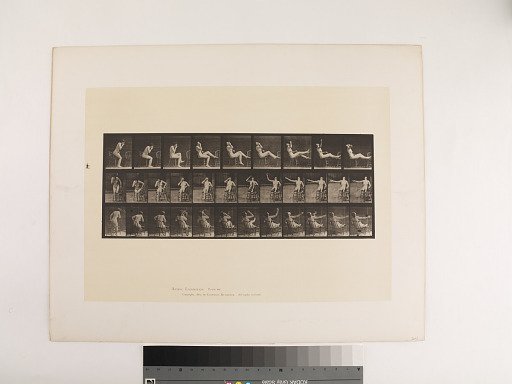 Animal Locomotion. Plate 247.