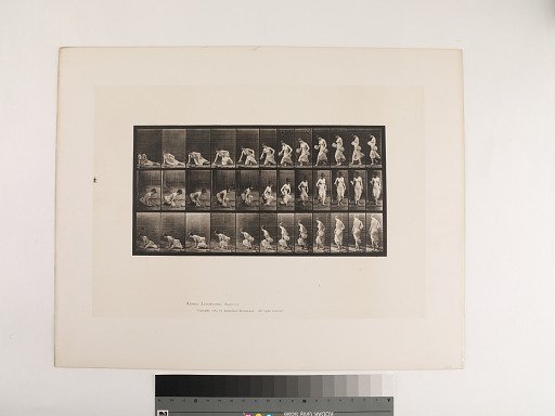 Animal Locomotion. Plate 248.