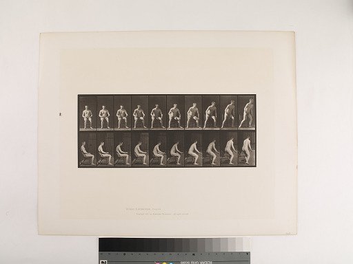 Animal Locomotion. Plate 249.
