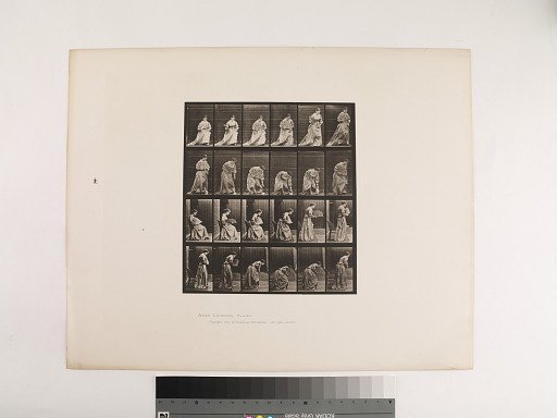 Animal Locomotion. Plate 250.