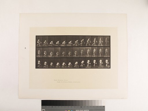 Animal Locomotion. Plate 251.
