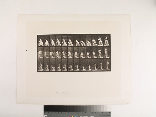 Animal Locomotion. Plate 253.