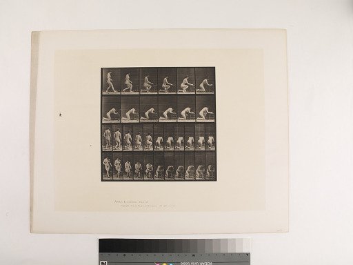 Animal Locomotion. Plate 254.