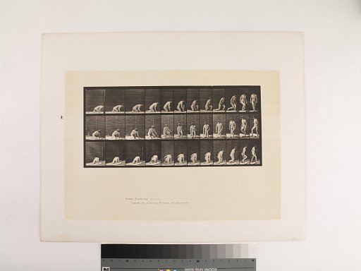 Animal Locomotion. Plate 255.