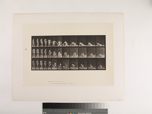 Animal Locomotion. Plate 256.