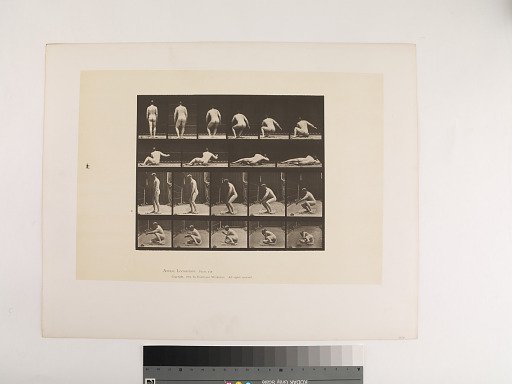 Animal Locomotion. Plate 257.
