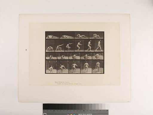 Animal Locomotion. Plate 258.