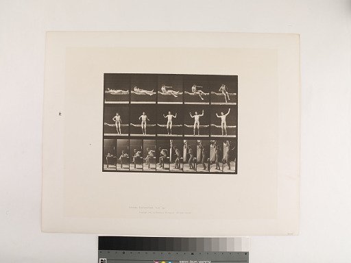 Animal Locomotion. Plate 260.