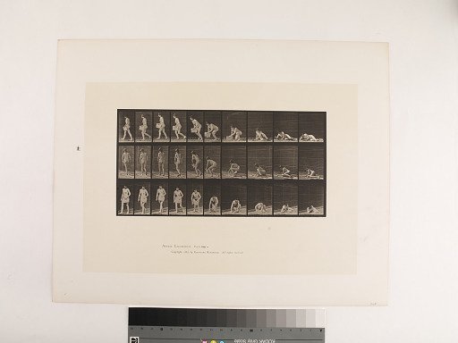 Animal Locomotion. Plate 269.