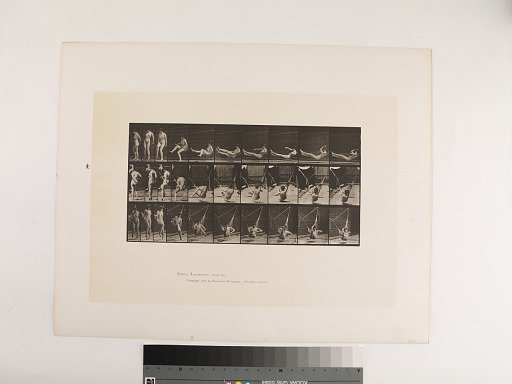 Animal Locomotion. Plate 261.
