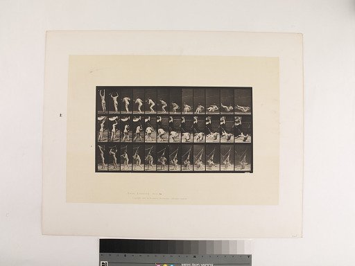 Animal Locomotion. Plate 262.