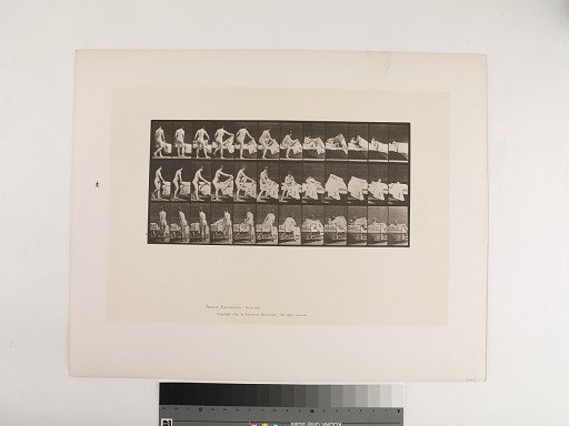 Animal Locomotion. Plate 263.