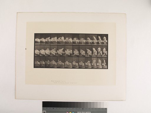 Animal Locomotion. Plate 264.
