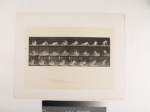 Animal Locomotion. Plate 266.
