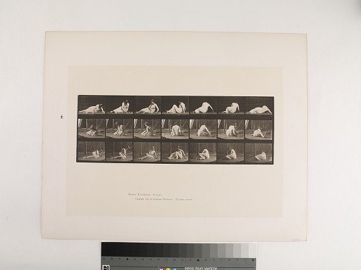 Animal Locomotion. Plate 267.