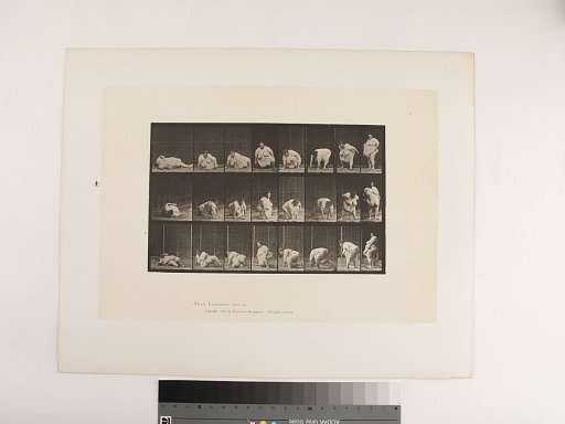 Animal Locomotion. Plate 268.