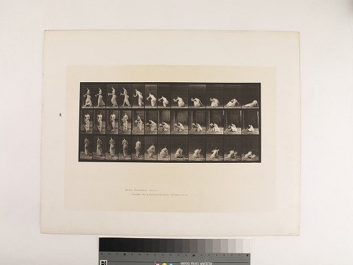 Animal Locomotion. Plate 271.
