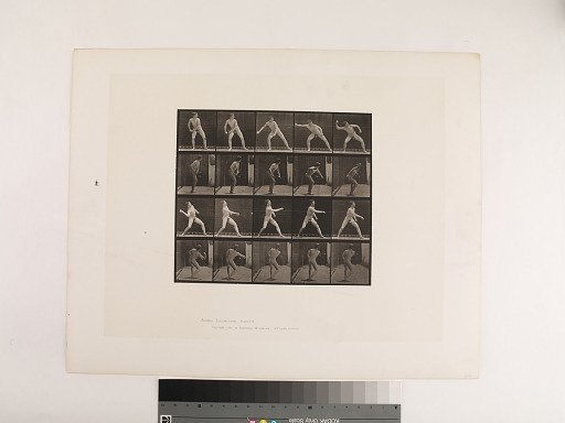Animal Locomotion. Plate 273.