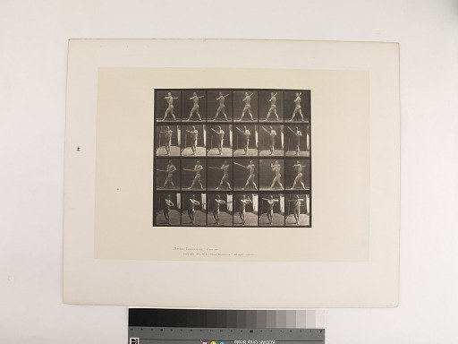 Animal Locomotion. Plate 274.
