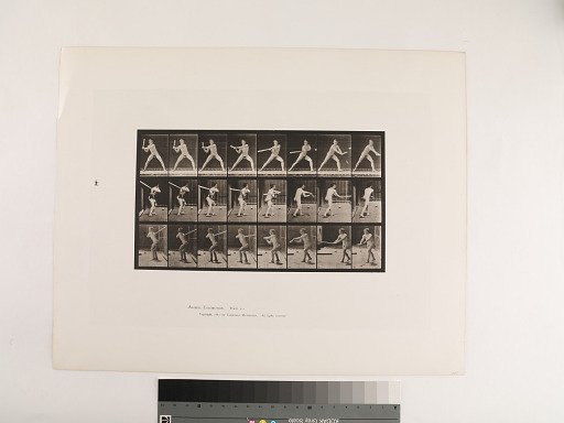 Animal Locomotion. Plate 276.