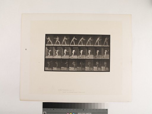 Animal Locomotion. Plate 277.