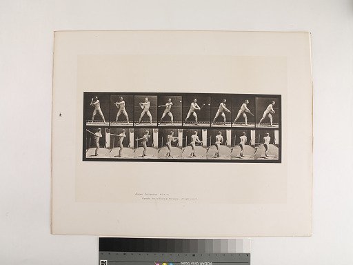 Animal Locomotion. Plate 279.