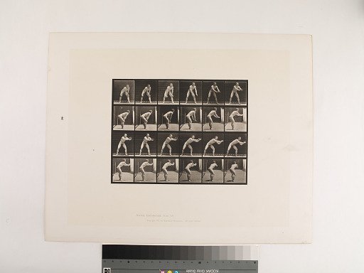 Animal Locomotion. Plate 280.