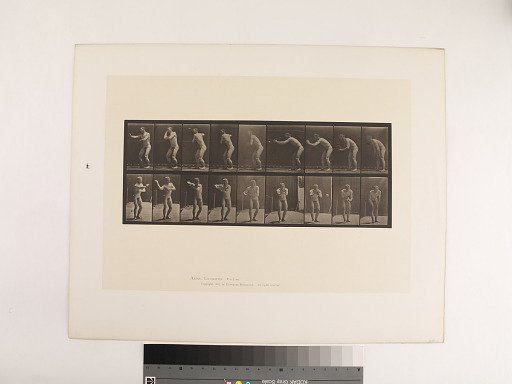 Animal Locomotion. Plate 281.