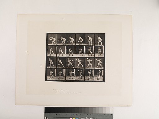 Animal Locomotion. Plate 283.