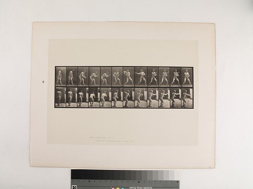 Animal Locomotion. Plate 285.