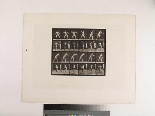 Animal Locomotion. Plate 286.