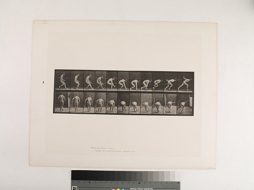 Animal Locomotion. Plate 287.