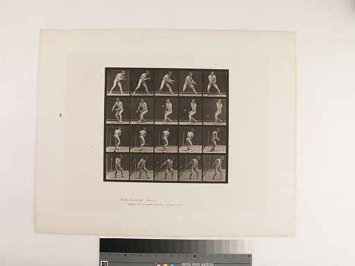 Animal Locomotion. Plate 288.