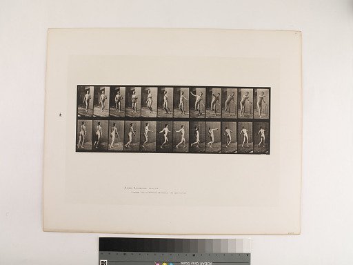 Animal Locomotion. Plate 289.