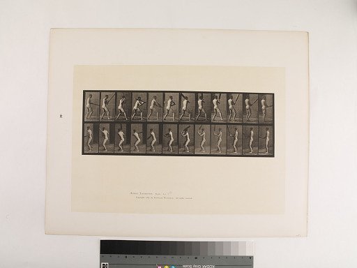 Animal Locomotion. Plate 292.