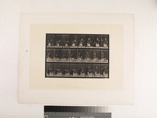 Animal Locomotion. Plate 295.